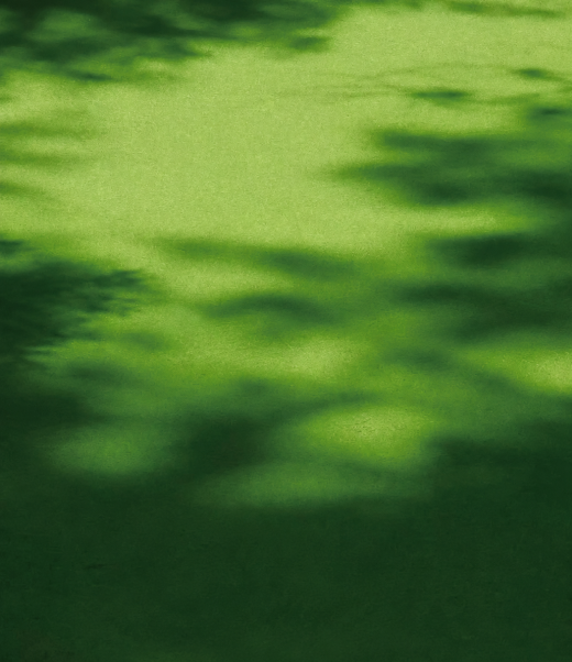 Feel vivid nature.